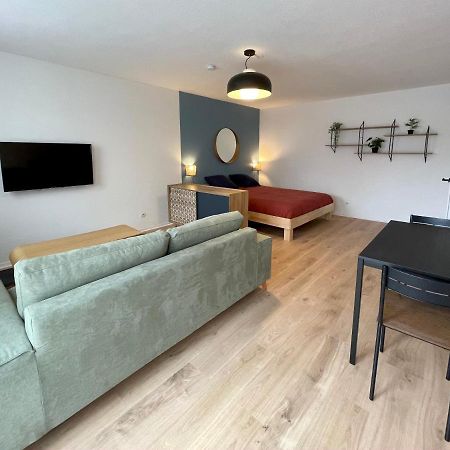 Ferienwohnung Grand Studio Joli Coeur - Calme Cosy Lumineux + Parking Nancy Exterior foto
